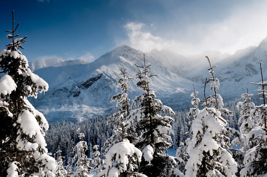 Tatry: Atrakcje turystyczne w Tatrach dla aktywnych - narty