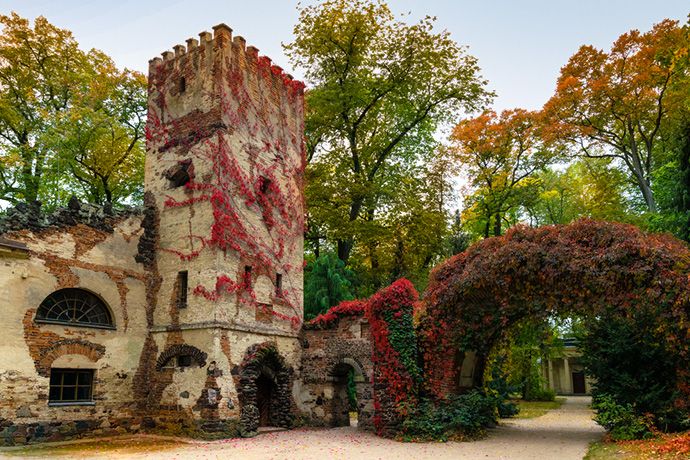 Najpiękniejsze ogrody pałacowe w Polsce - Arkadia 
