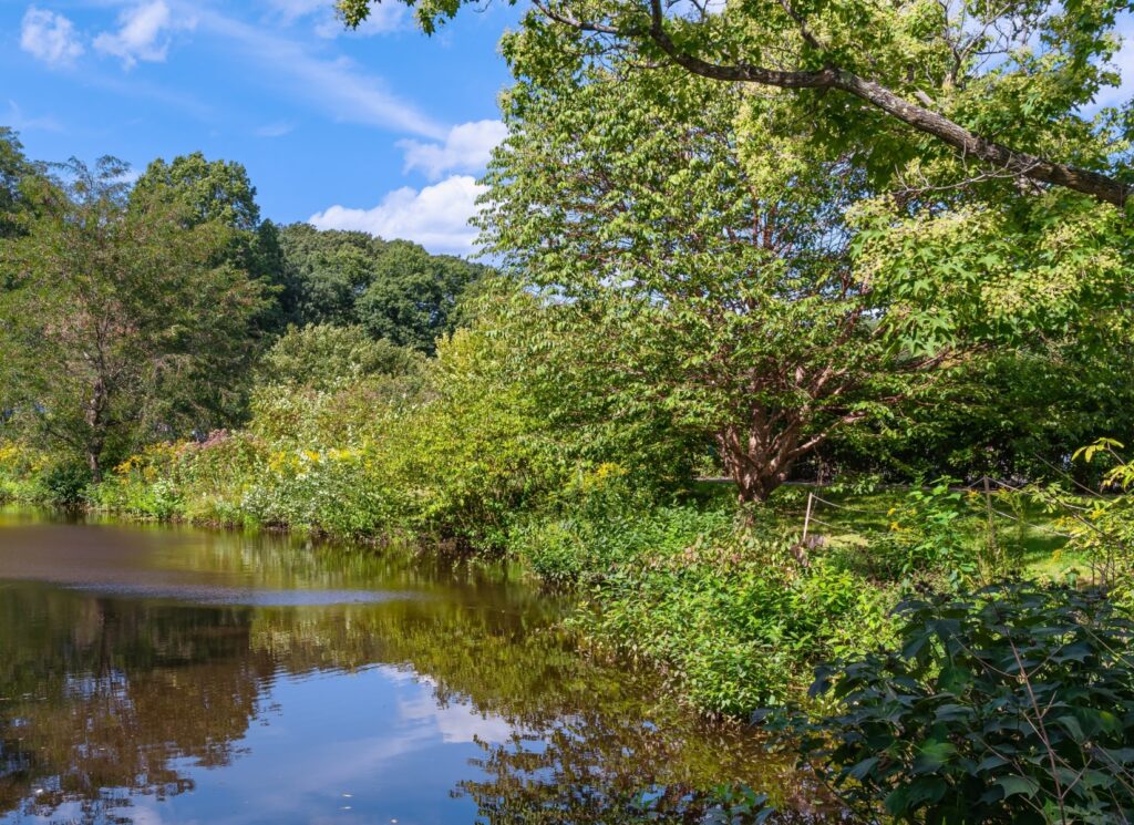 Arboretum Lądek-zdrój Magazyn Travelist