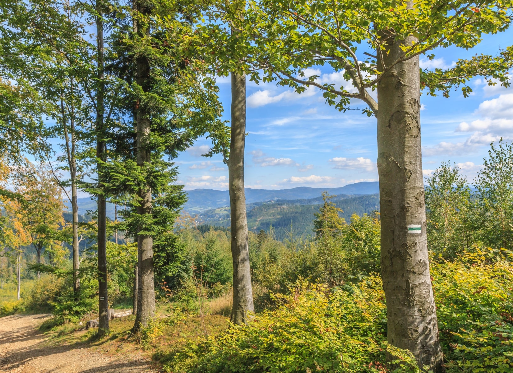 Beskid Śląski - Magazyn Travelist